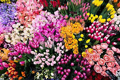 传闻：《猎天使魔女》三部曲将登陆Switch 2